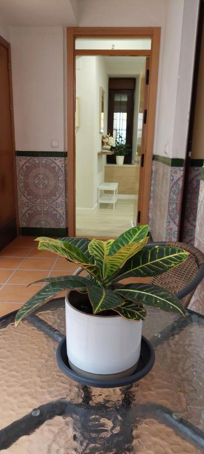 Cordvba Osario Centro Appartement Córdoba Buitenkant foto